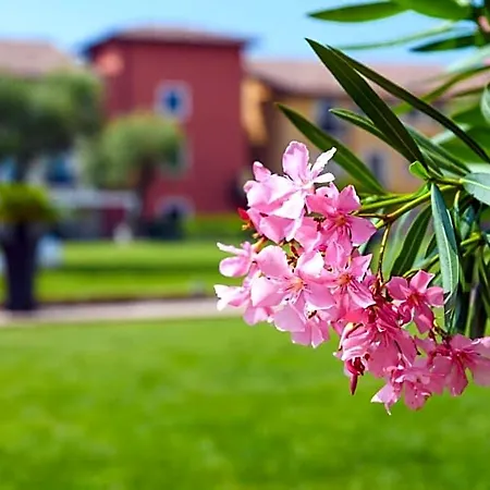 Th - Parchi Del Garda 4*